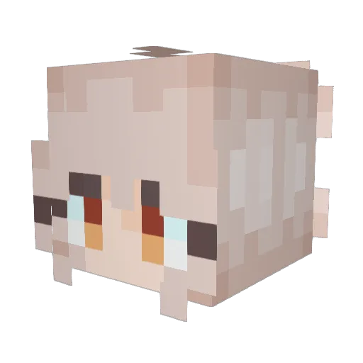 D3z3 Minecraft avatar head, 3D render