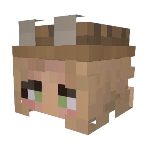D4C09 Minecraft avatar head, 3D render