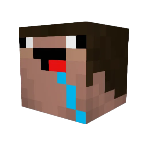 D4C911 Minecraft avatar head, 3D render