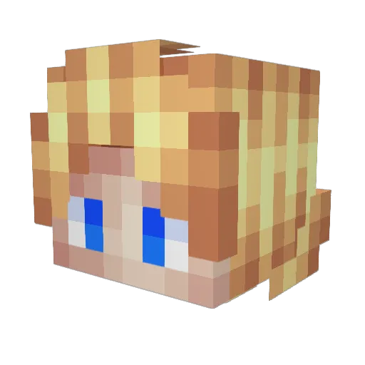 D4Chip Minecraft avatar head, 3D render