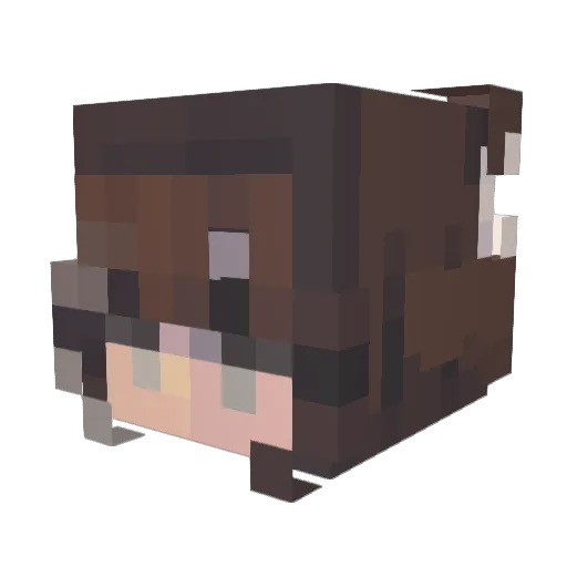 D4N14L Minecraft avatar head, 3D render