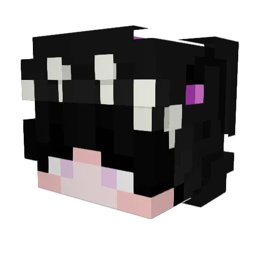 D4RTON Minecraft avatar head, 3D render