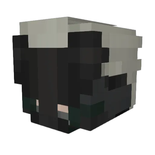 D4SHIIII Minecraft avatar head, 3D render
