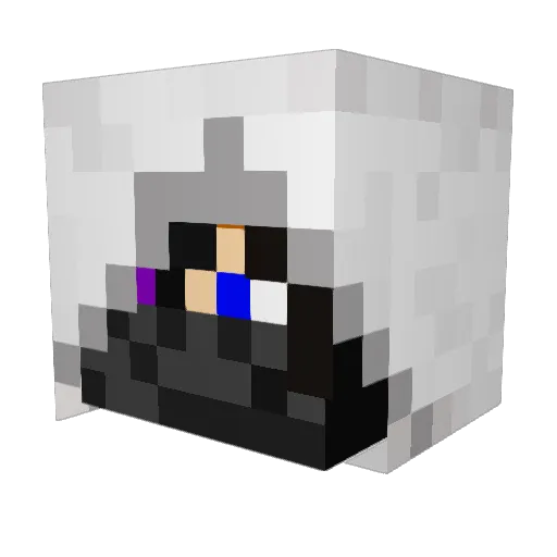 D4TP1N6 Minecraft avatar head, 3D render