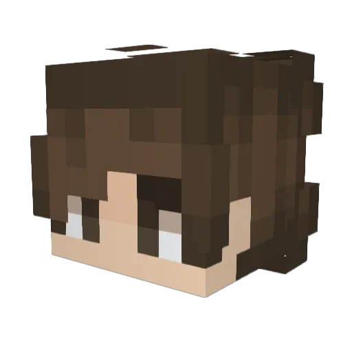 D4V69D Minecraft avatar head, 3D render