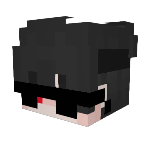 D4VRYXD Minecraft avatar head, 3D render