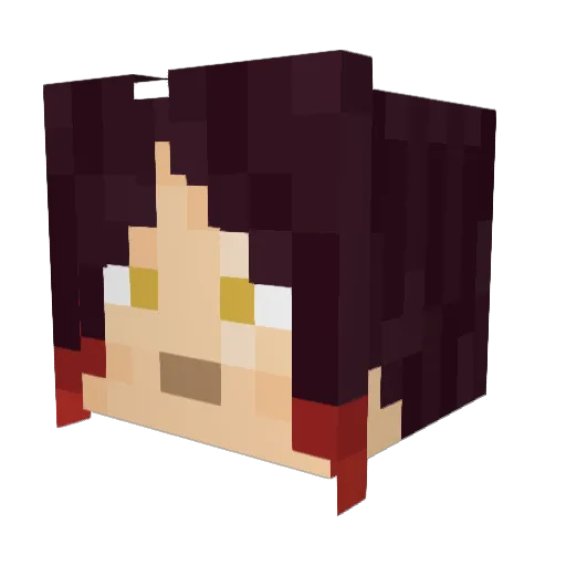 D4WGF1SH Minecraft avatar head, 3D render