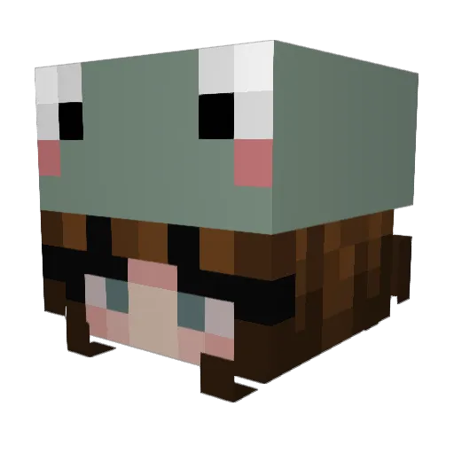 D4YDAY Minecraft avatar head, 3D render
