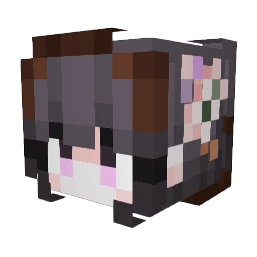 D4arames Minecraft avatar head, 3D render