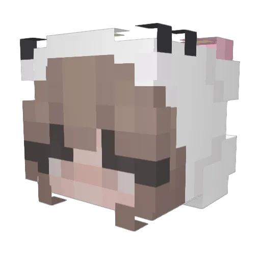 D4dasz_za_0_ Minecraft avatar head, 3D render