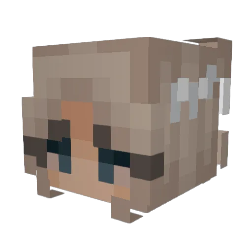 D4mnitKass Minecraft avatar head, 3D render