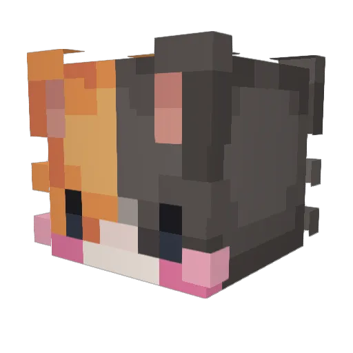 D4n7ik0 Minecraft avatar head, 3D render