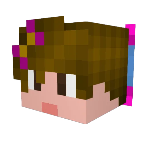 D4ncingF0x Minecraft avatar head, 3D render