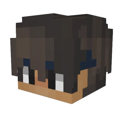 D4nn_ Minecraft avatar head, 3D render
