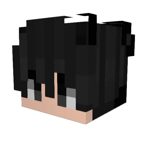 D4rK3NG Minecraft avatar head, 3D render
