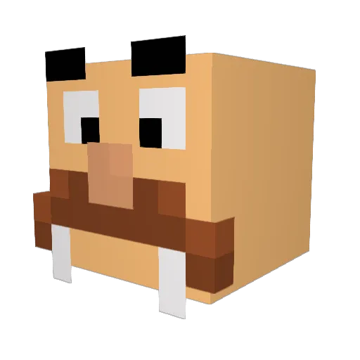 D4rKlaSh7 Minecraft avatar head, 3D render
