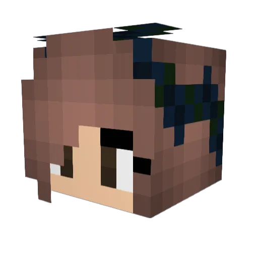 D4rkFlower Minecraft avatar head, 3D render