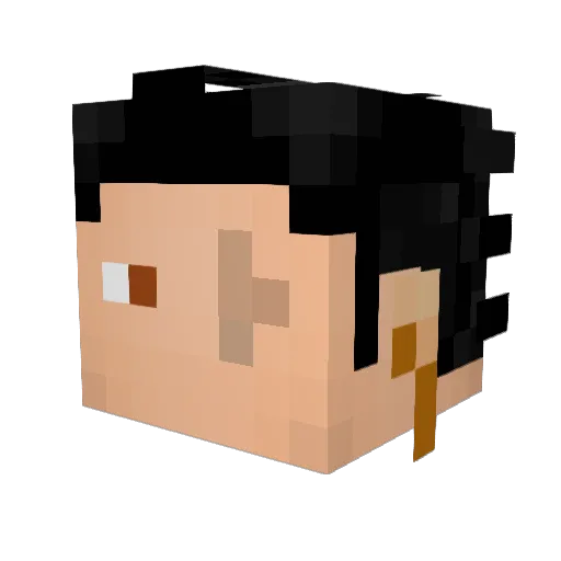 D4rkLamp Minecraft avatar head, 3D render