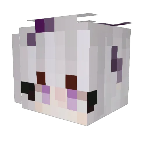 D4rkMoon00 Minecraft avatar head, 3D render