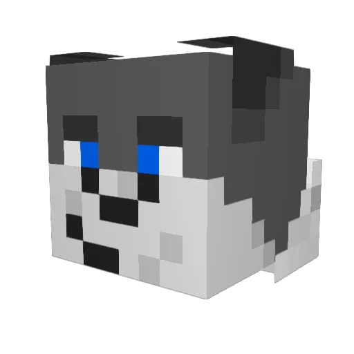 D4rkResistance Minecraft avatar head, 3D render