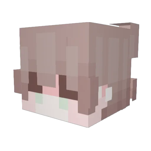 D4rkxq Minecraft avatar head, 3D render