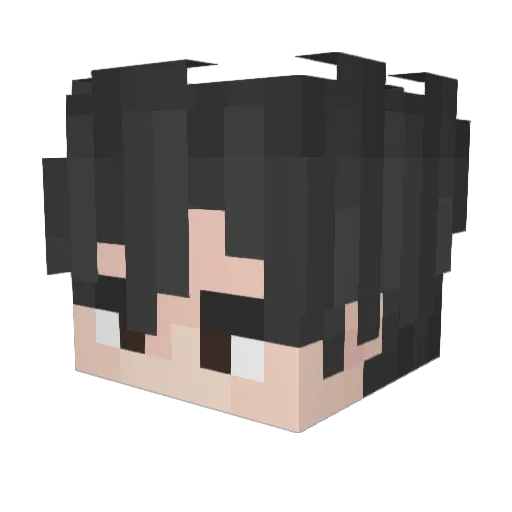 D4rkyHD Minecraft avatar head, 3D render