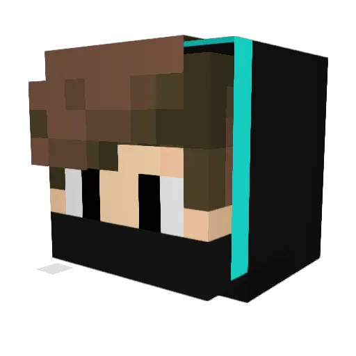 D4rsey262 Minecraft avatar head, 3D render