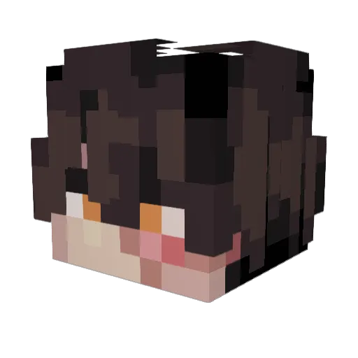 D4v1dM690 Minecraft avatar head, 3D render