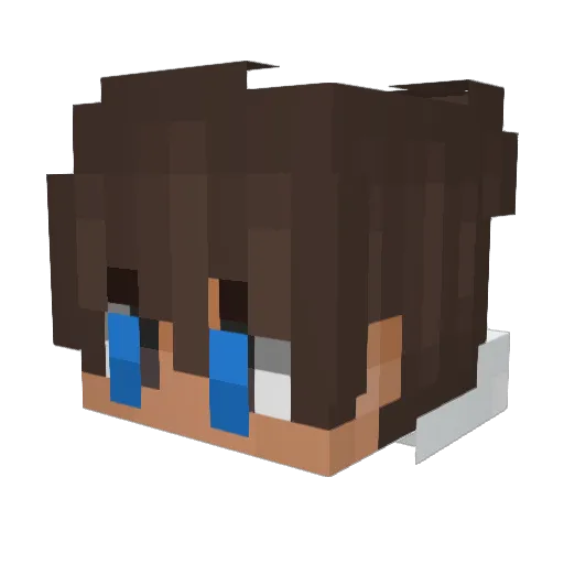 D4vid1235 Minecraft avatar head, 3D render