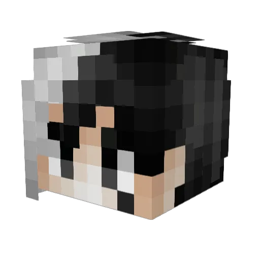 D4yDr3am5 Minecraft avatar head, 3D render