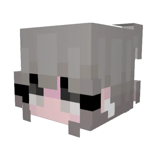 D5C Minecraft avatar head, 3D render