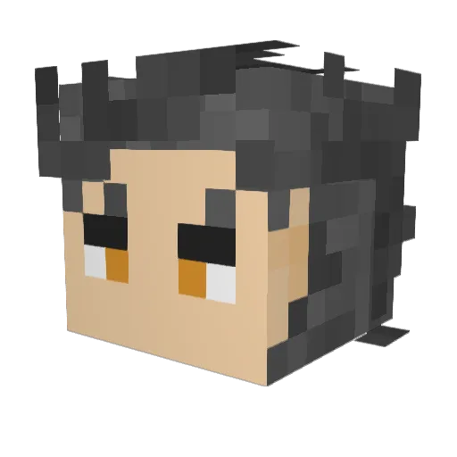D7xM20 Minecraft avatar head, 3D render