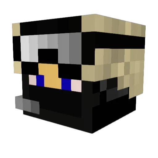 D8Q9 Minecraft avatar head, 3D render