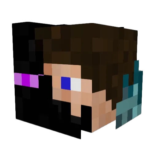 DAB1100 Minecraft avatar head, 3D render