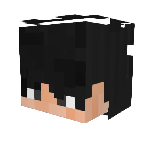 DABOSS654321 Minecraft avatar head, 3D render