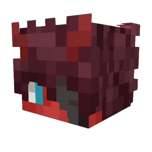 DACOOID Minecraft avatar head, 3D render