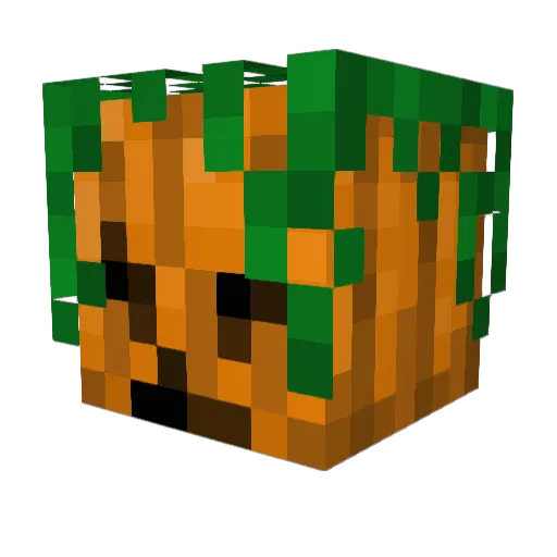 DAGE23 Minecraft avatar head, 3D render