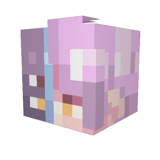 DAIDAI11 Minecraft avatar head, 3D render