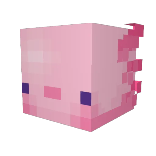 DAKITTYGOESBOOM Minecraft avatar head, 3D render