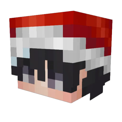 DAMIXgamingYT Minecraft avatar head, 3D render