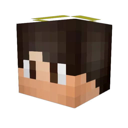 DAN1L_0_0 Minecraft avatar head, 3D render