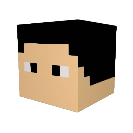 DAN572 Minecraft avatar head, 3D render