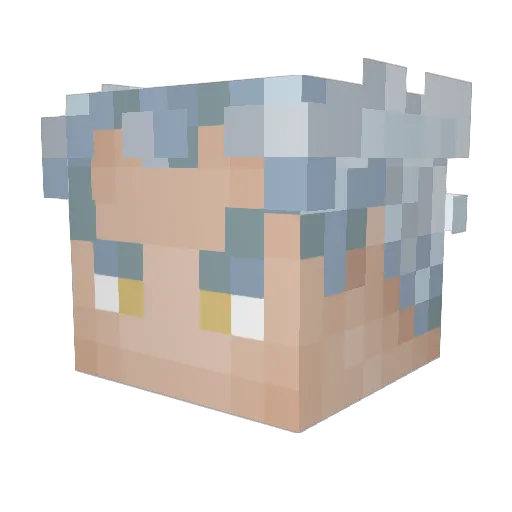 DANIEL216126 Minecraft avatar head, 3D render