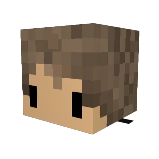 DANIELE22 Minecraft avatar head, 3D render