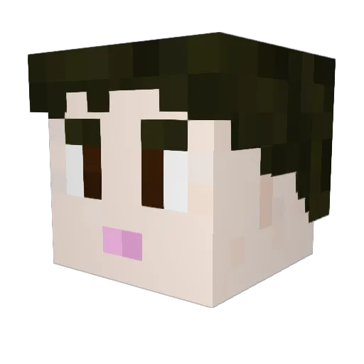 DANILINK Minecraft avatar head, 3D render