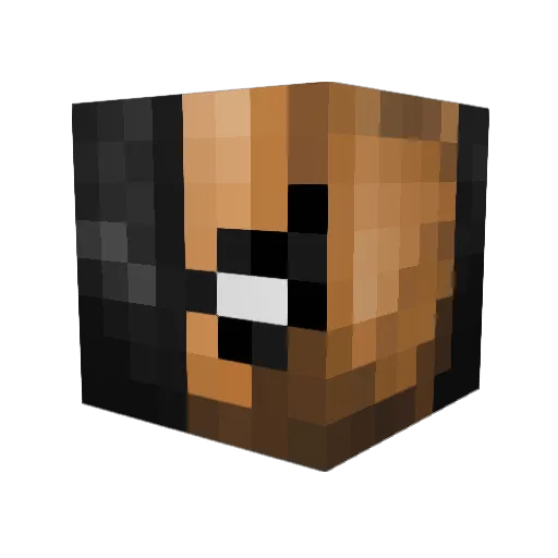 DANKMemester01 Minecraft avatar head, 3D render