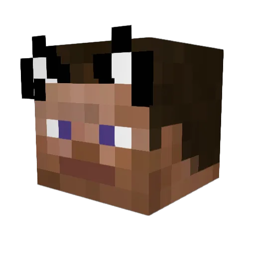 DANNY2376 Minecraft avatar head, 3D render