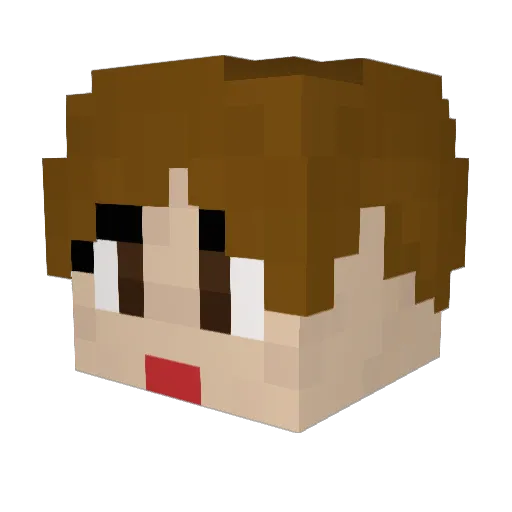 DANSO__ Minecraft avatar head, 3D render