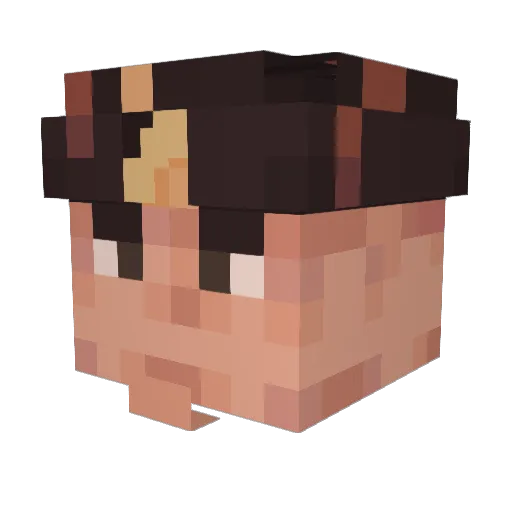 DANVE00 Minecraft avatar head, 3D render