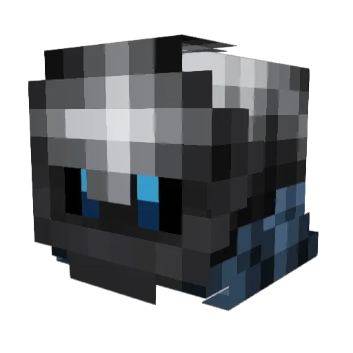 DANYBOY206 Minecraft avatar head, 3D render